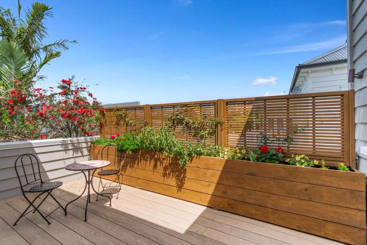 20 Walters Road Mt Eden_10