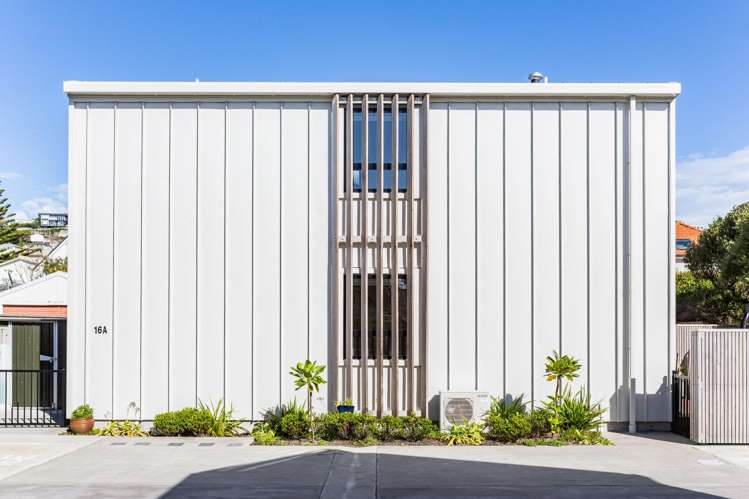 16A Inglis Street Seatoun_18