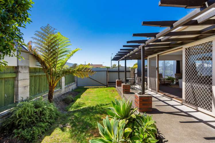 55 Guppy Road Greenmeadows_10