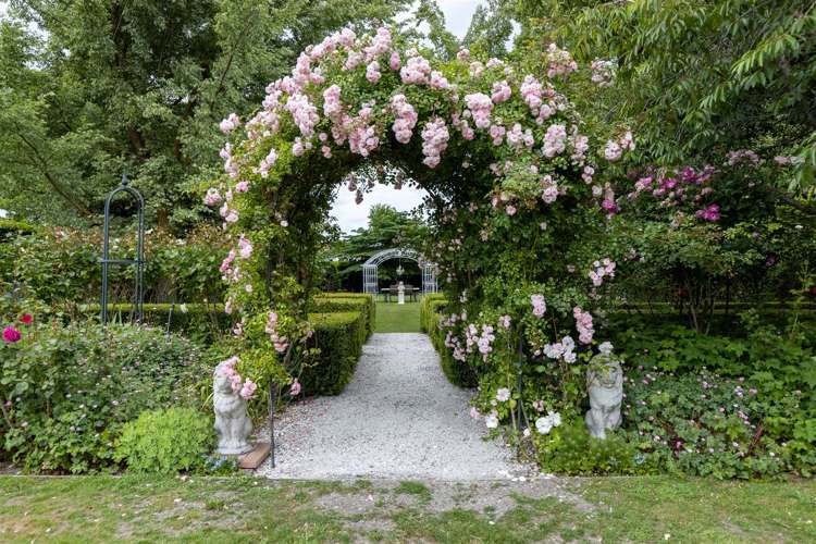 112 Odwyers Road Rapaura_28