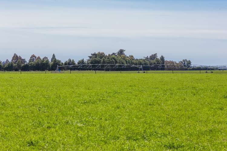 30 Tippings Road Cust_9