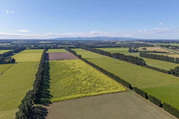 Sandy Knolls Road West Melton_6