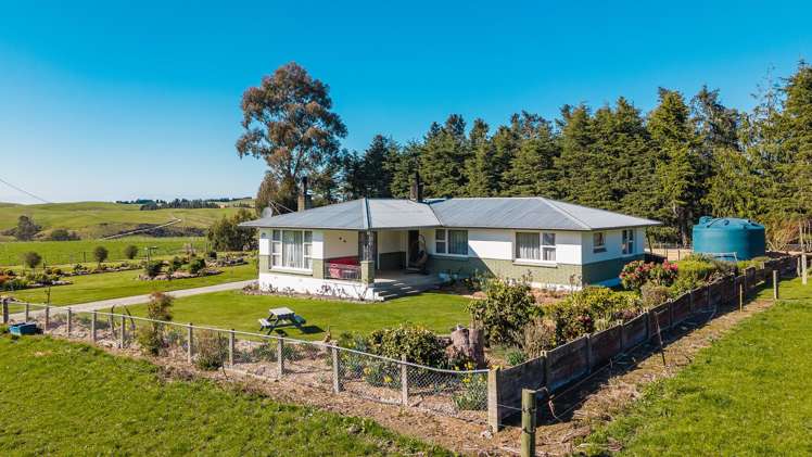 467 Waihaorunga Back Road Elephant Hill_19