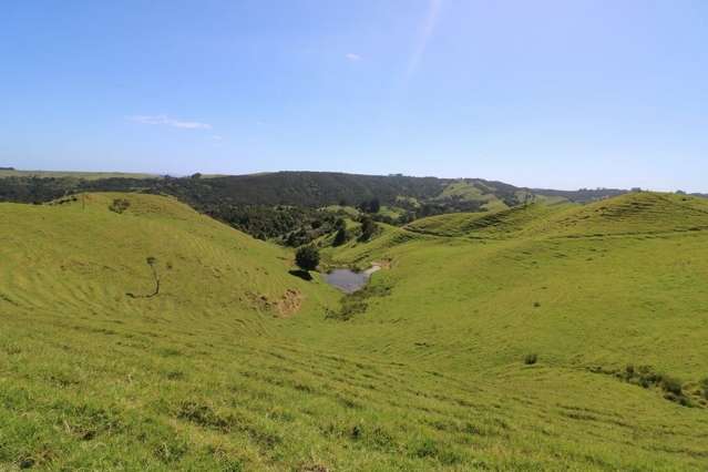 Fisher Riley Road Kaingaroa_2