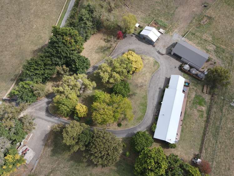 455b State Highway 1 Bulls_36