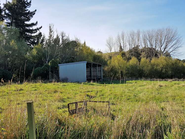 1 George Street Dannevirke_22