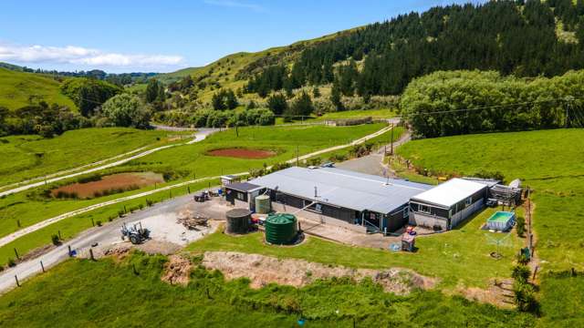 568 Tinopai Road Tinopai_2