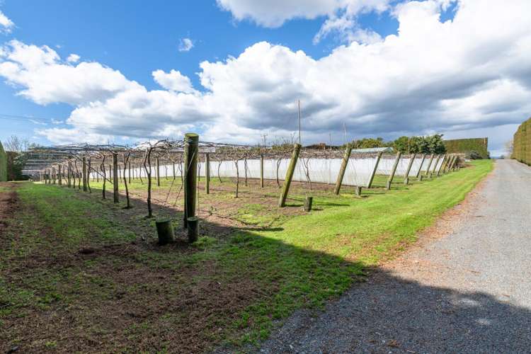 154b Wairoa Road Te Puna_6