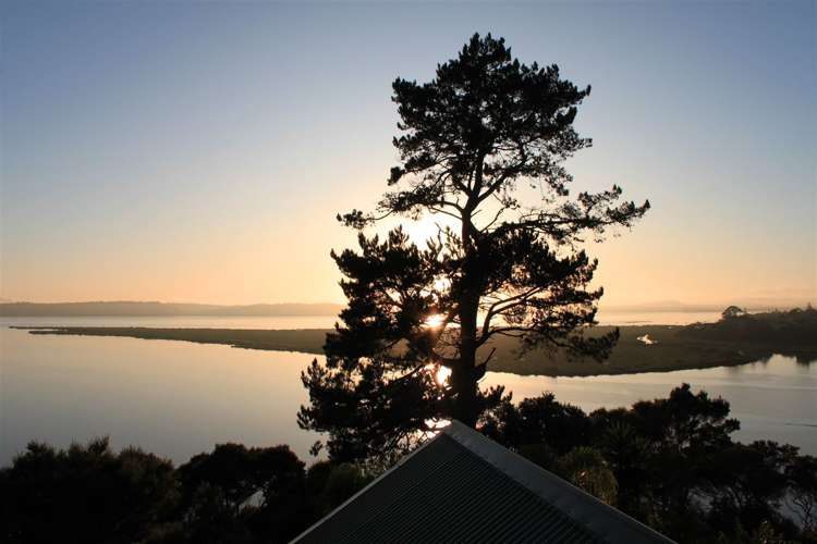 215 West Harbour Drive West Harbour_34