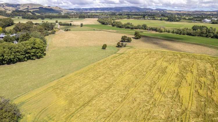 167 Ponatahi Road Martinborough_20