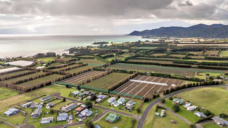 2 Te Maara Place Te Kaha_16