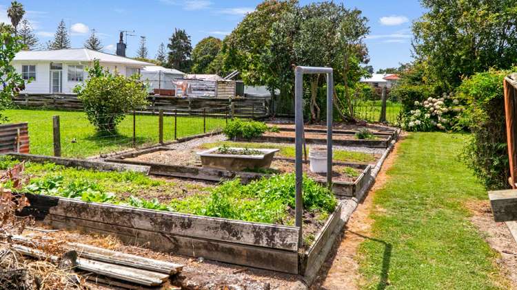 141 Lucknow Street Wairoa_7