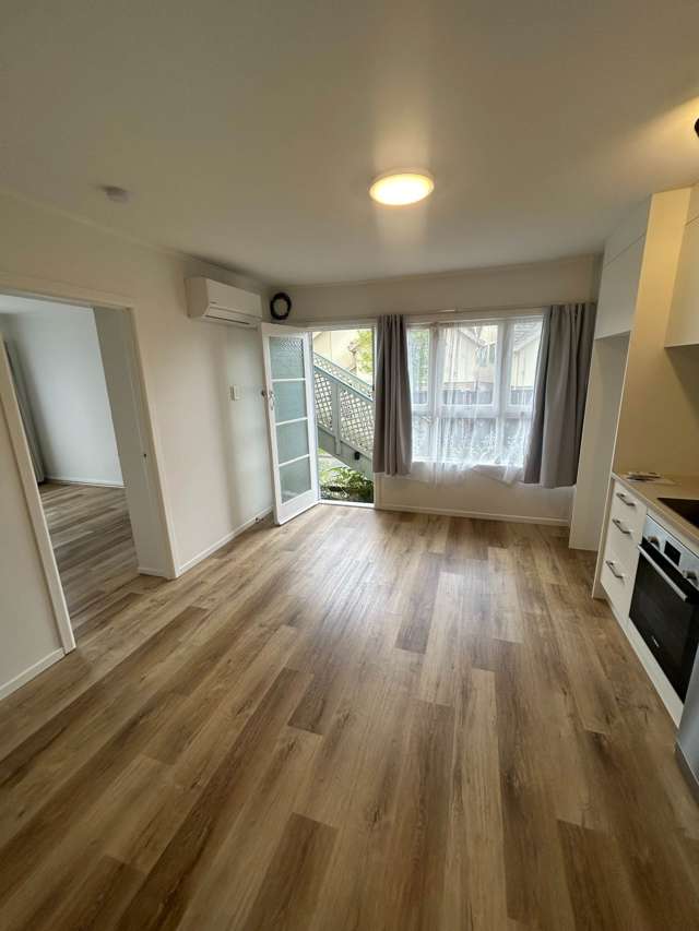 3/6 Tahora Avenue Remuera_1