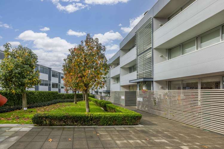 3B/8 Fisher Point Drive Freemans Bay_9