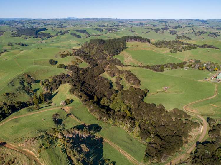 416 Kauri Road Onewhero_5