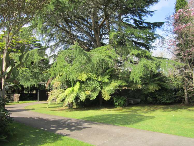 2997 State Highway 26 Morrinsville_3