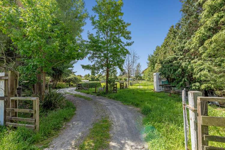 16 Cole Street Dannevirke_34