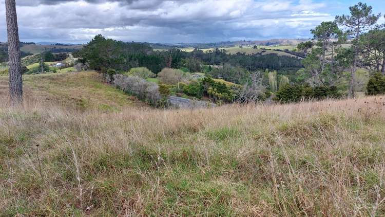 Wearmouth Road Paparoa_15