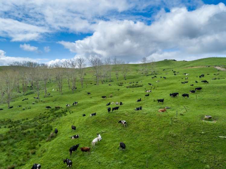 1427 Mititai Road Arapohue_17