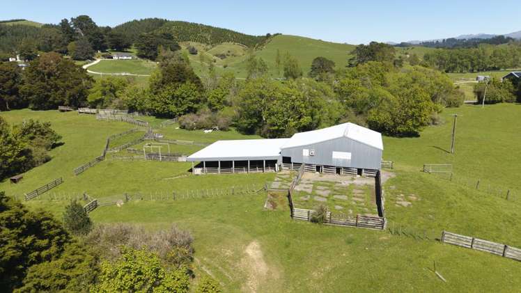 329 North Road Masterton_19