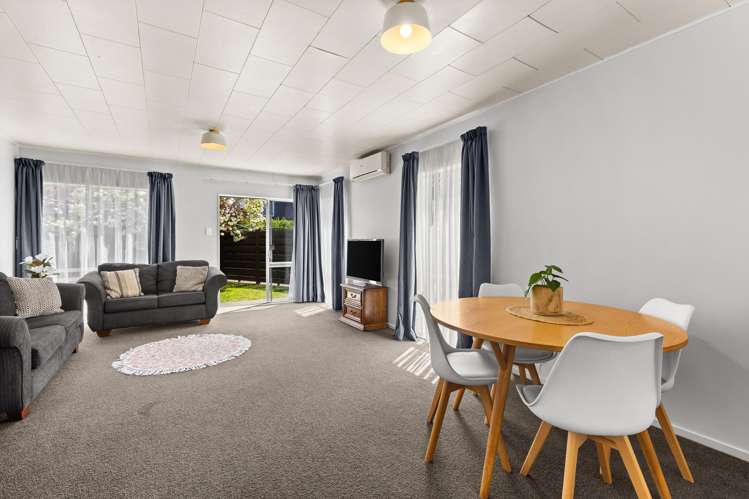 163A Guppy Road Taradale_5