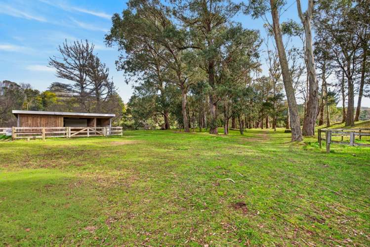 992 Dartmoor Road Puketapu_23
