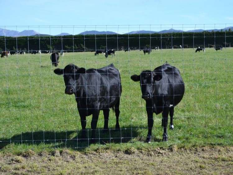 453 Woodside Road Oxford_19