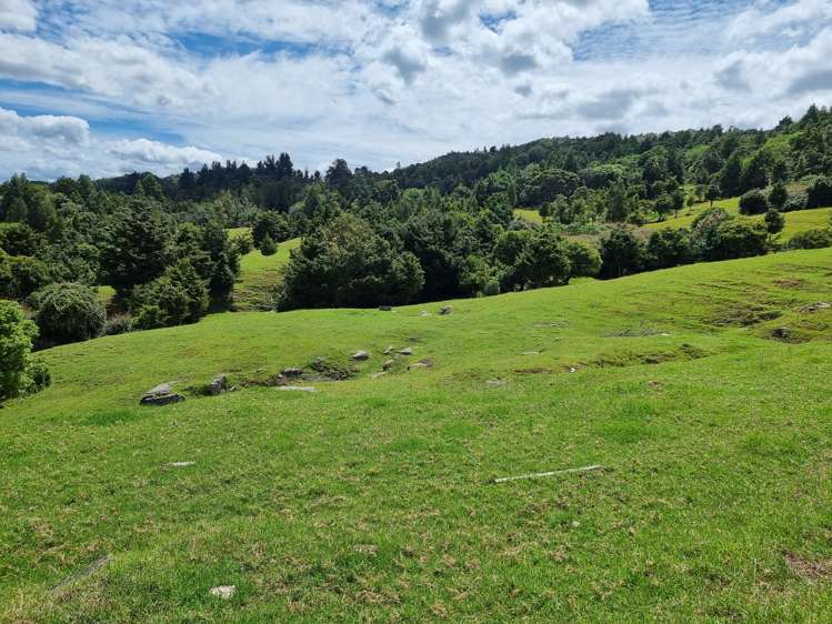 2860 State Highway 1 Brynderwyn_14