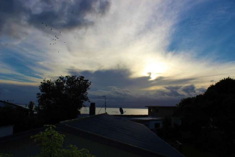 419 Ensor Street Thames_18