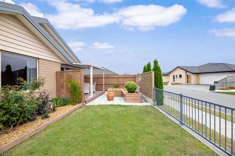 12 Korari Grove Redwoodtown_21