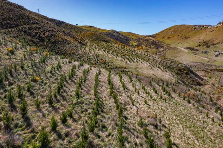 554 Waikari Valley Road Scargill_20