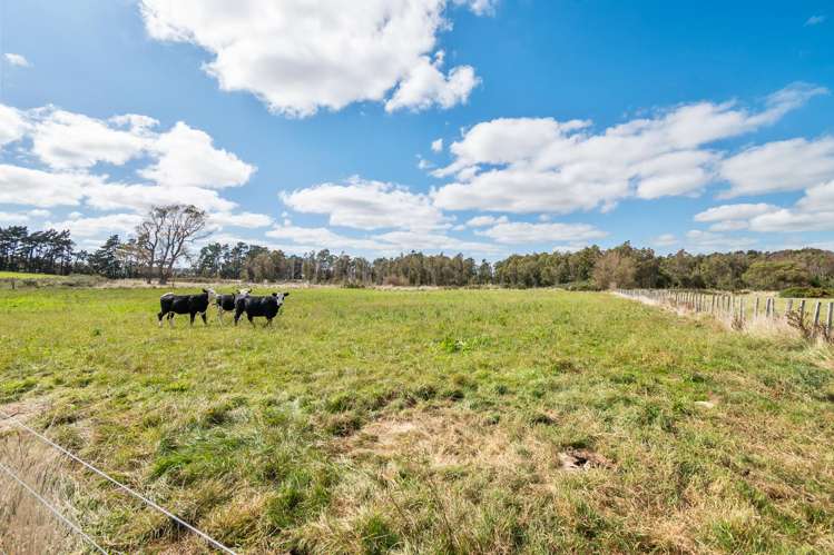 3125 State Highway 1 Sanson_21