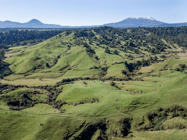 Kaitieke Road Owhango_8