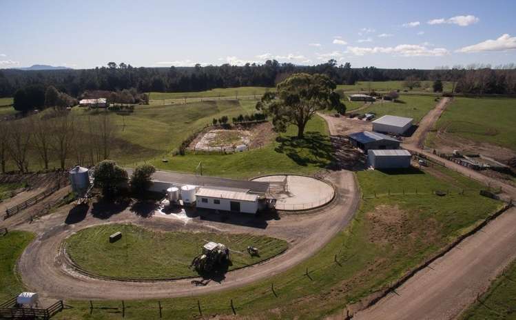 574 Rawhiti Road Reporoa and Surrounds_7