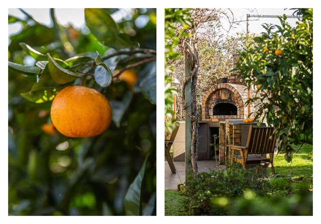 101 Tararu Road Thames_1