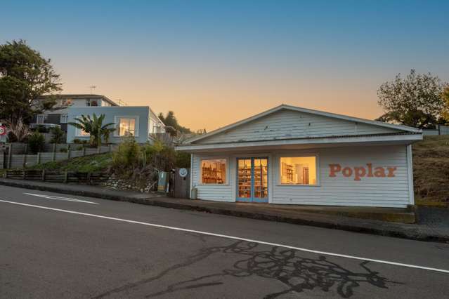 Raumati South Town Centre Opportunity