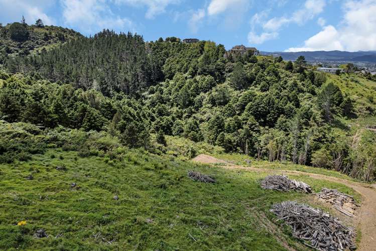 75 Parakiore Road Ngararatunua_16