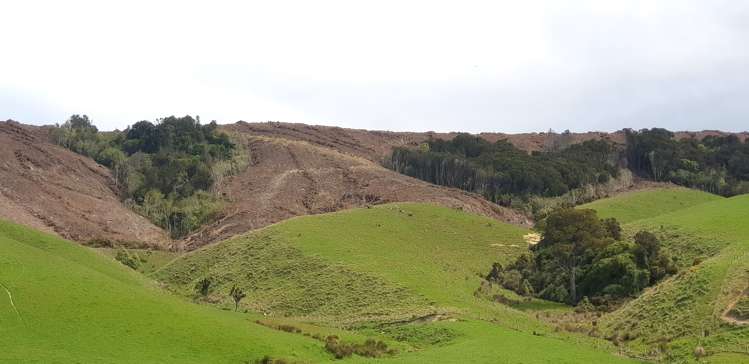 Karoro Creek Road Kaka Point_0
