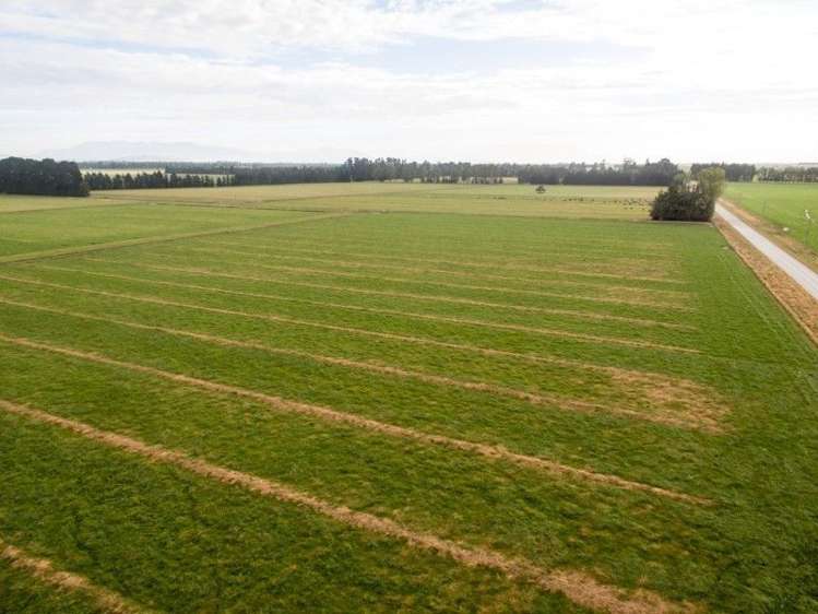 293 Hackthorne Road Carew_14