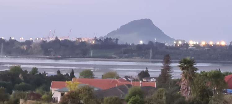 85 Oteki Park Drive Welcome Bay_16