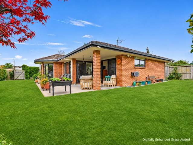 46 Tower Road Matamata_2