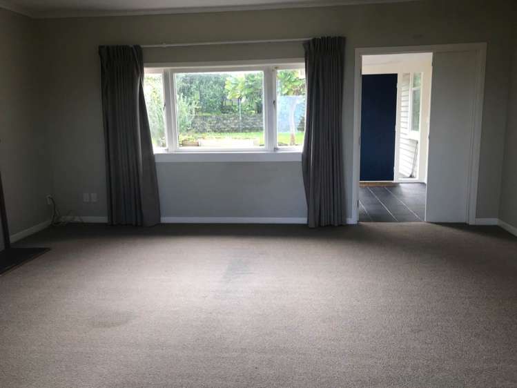 81 Carlton Street Hillsborough_11