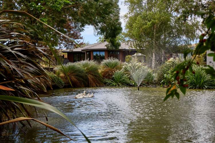 22 Reeves Street Cheviot_8