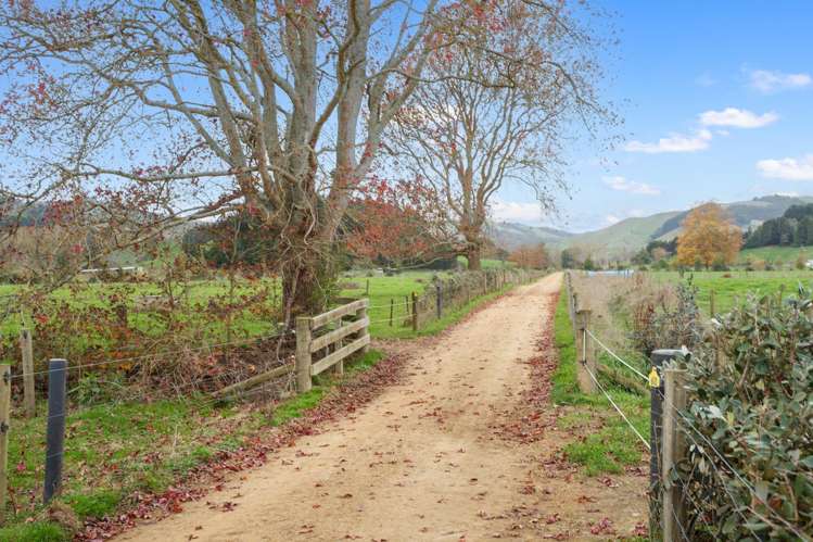 133 Flume Road Te Miro_24