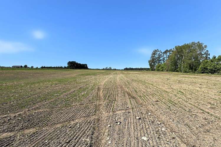 732 Rangiora Leithfield Road Leithfield_10