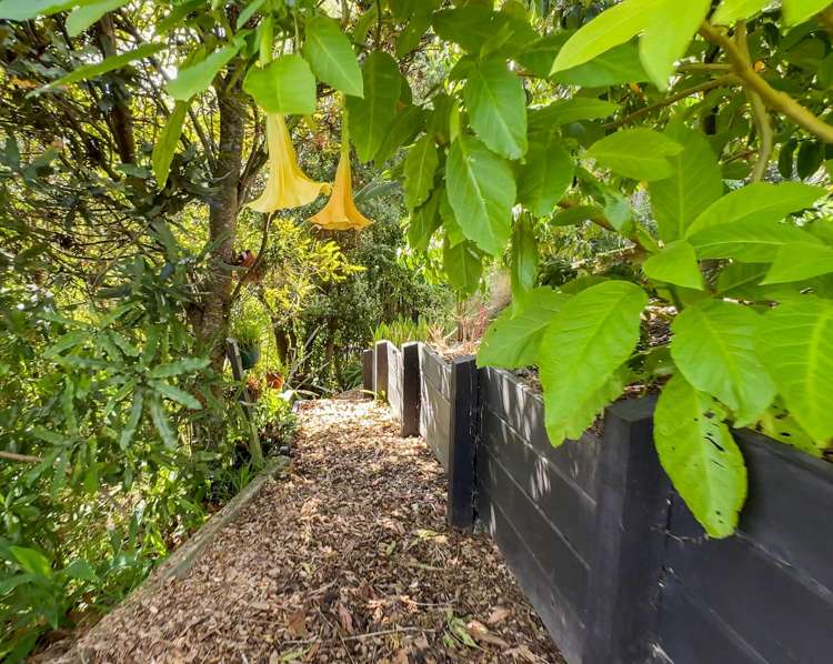 35b Kotare Street Waikanae_31