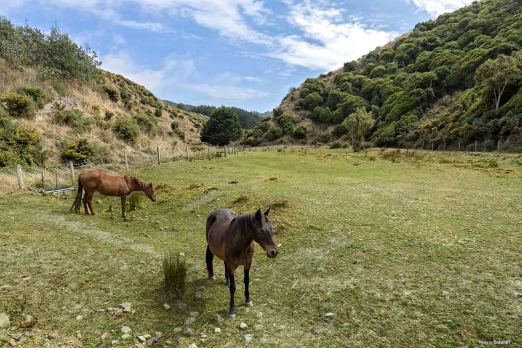 755 Takarau Gorge Road Makara_14