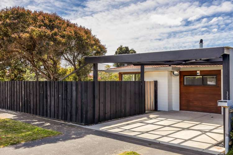 355 Pine Avenue South New Brighton_1