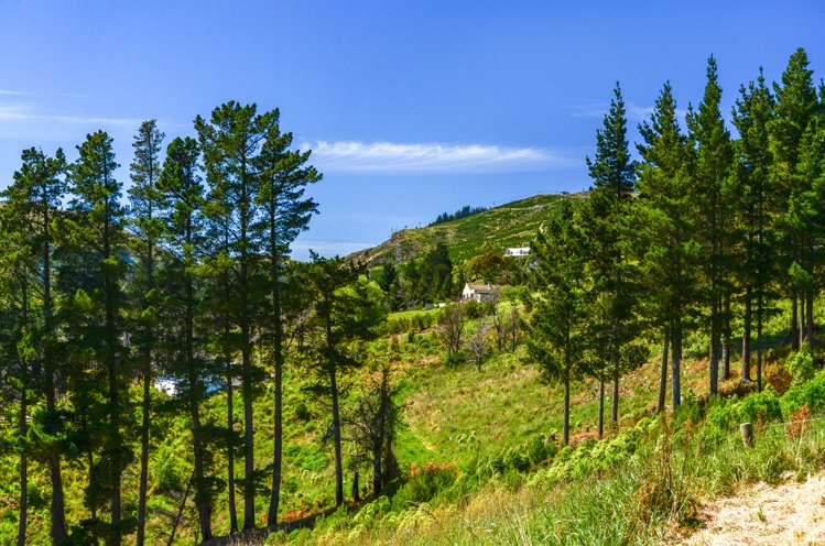 335d Worsleys Road Cracroft_19