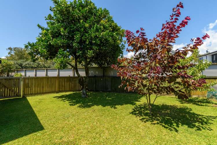 55 Kings Avenue Matua_21